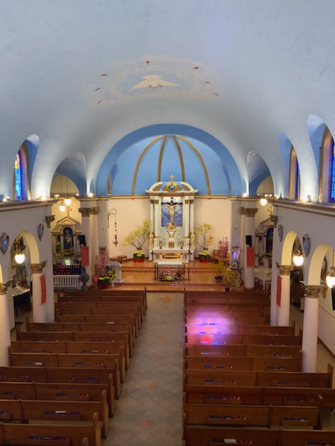 IMG 0769